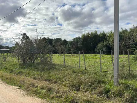 VENTA DE TERRENO EN GONZALEZ SAN JOSE