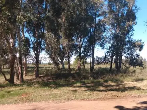 40 e/ 17 y 19