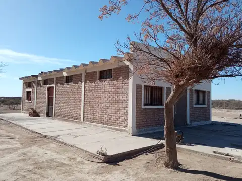 Venta Campo 75ha Santa Rosa Mendoza FINANCIACION