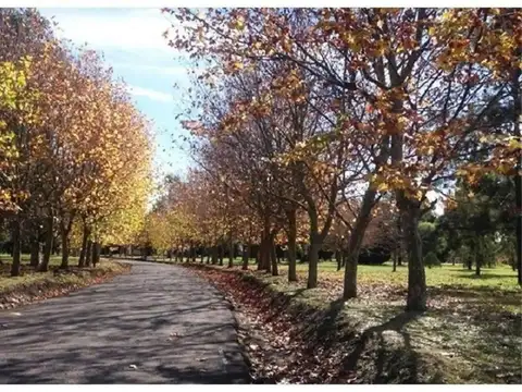 Terreno en Venta de 1291,0 m2