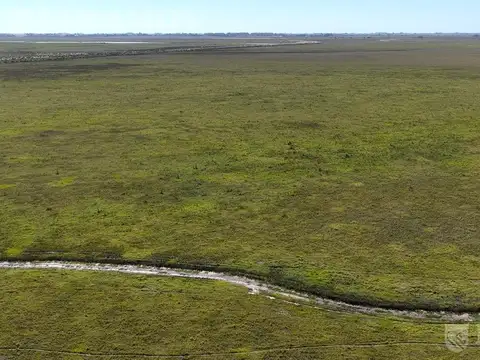 1712 ha ganaderas en Melincué, Santa Fe