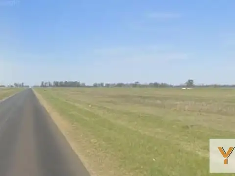 Campo en venta - 280 Hectáreas - Bolívar