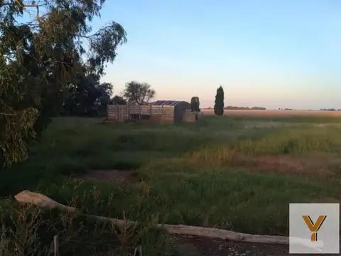 Campo en venta - 280 Hectáreas - Bolívar