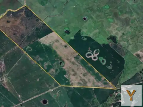 Ruta Nacional 205