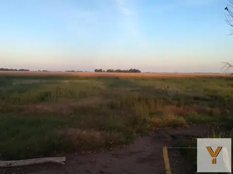 Campo en venta - 280 Hectáreas - Bolívar