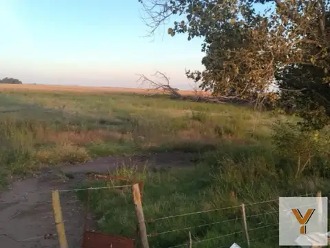 Ruta Nacional 205