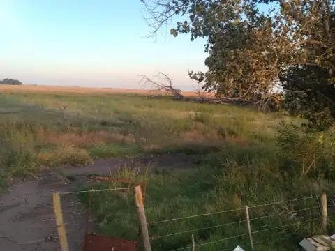Ruta Nacional 205