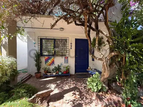 Alvear 300, Piso 1
