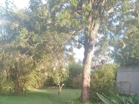 Terreno en Venta 50  mts Fondo