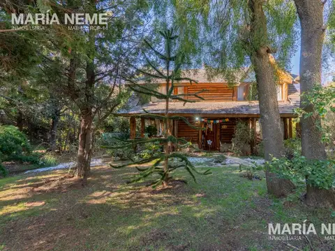 Río Castaño Overo 322