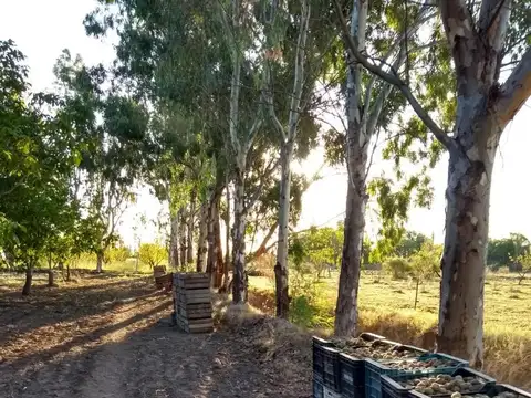 Quinta en Venta en Bowen, USD 95.000