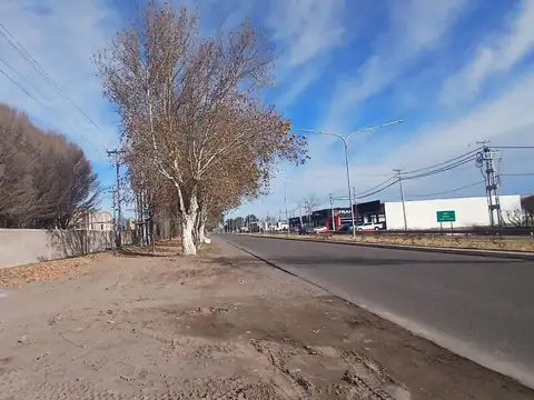 Venta de 7 Galpones + 2Ha en Gral. Alvear s/Ruta