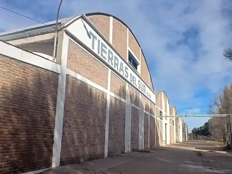 Venta de 7 Galpones + 2Ha en Gral. Alvear s/Ruta