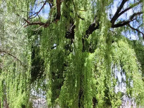 Uspallata - Lote, terreno, fracción 12400 m2 - Con casa prefabricada y construcción adicional