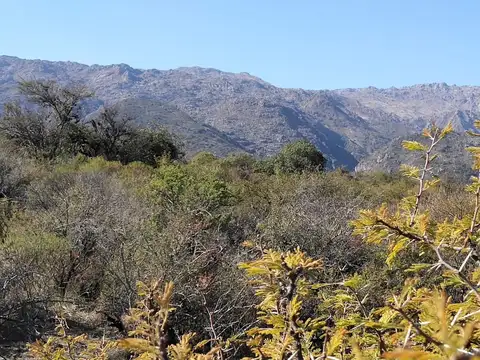 Terreno en Venta de 58431,0 m2
