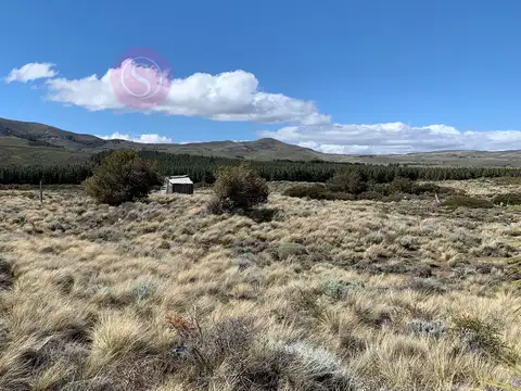 Huechulafquen 100