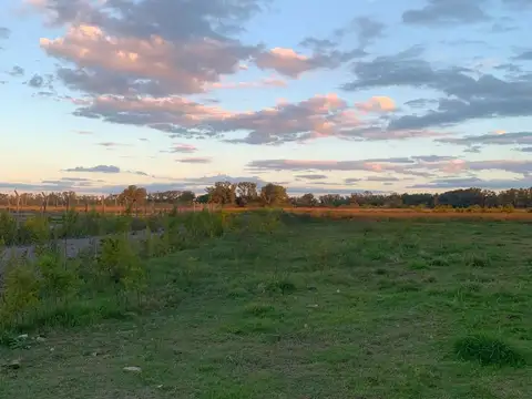 Calle Rosenbusch y Luisa Faravezzi, entre Don Bosco Santo y San Cayetano, Uribelarrea, Cañuelas.