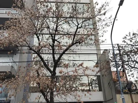 José A. Cabrera al 5900