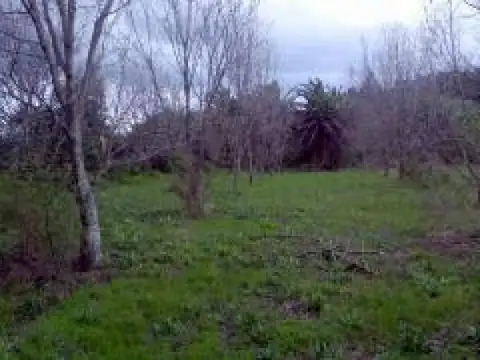 Terreno en Venta 80  mts Fondo