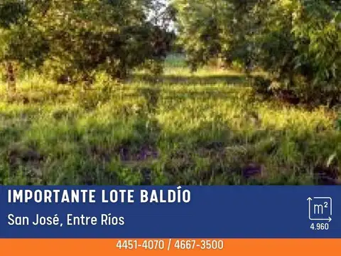 Lote - Venta - Argentina, San José - Mitre 1