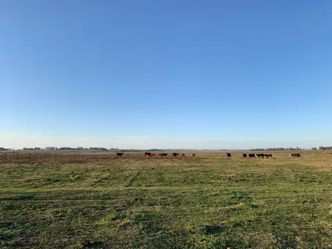 Quinta en Venta en Manantiales, USD 450.000