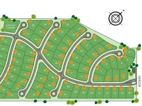 Bahia Tetis