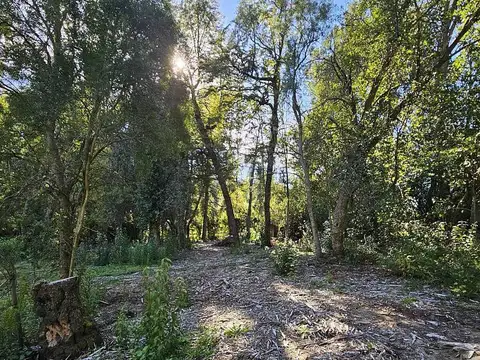 Excelente Terreno Barrio Las Balsas 1