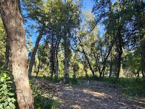 Oportunidad unica. Terreno de 1026mts2 en Barrio las Balsas, completamente plano y arbolado.