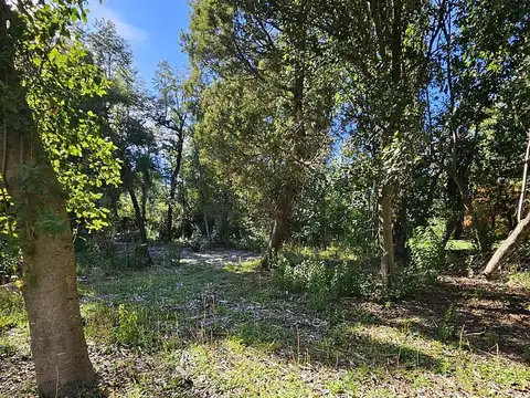 Excelente Terreno Barrio Las Balsas 1