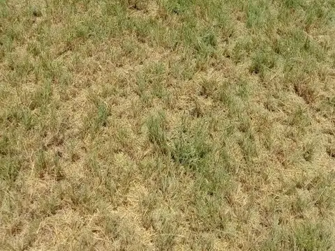 Terreno en Venta de 515,0 m2