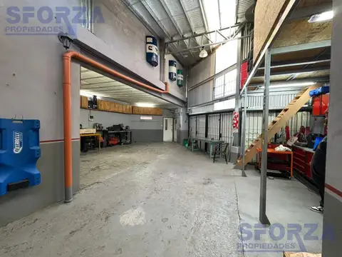 Renacimiento  al 3800