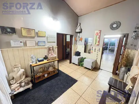 Renacimiento  al 3800