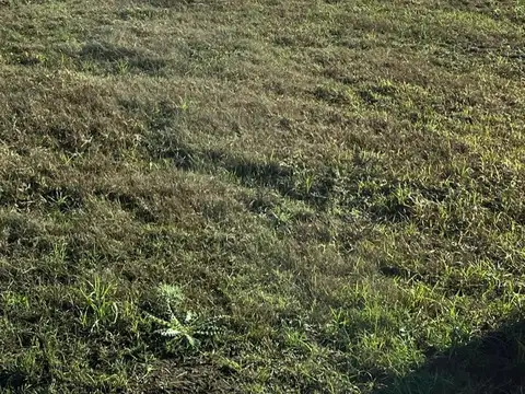Terreno en Venta en Cuestas de Manantiales 254m2 totales - Barrio con seguridad