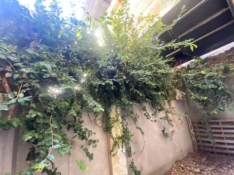 Depto Tipo Casa en Alquiler de Monoambiente