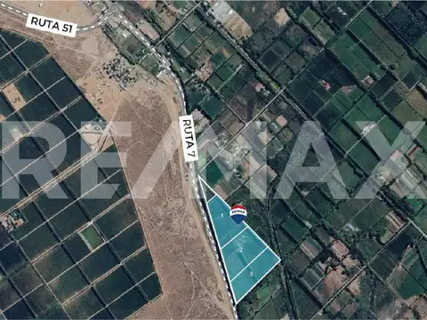 VENTA DE HECTAREAS - FRENTE RUTA 7 - VISTA ALEGRE