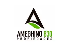 Ameghino 830 Propiedades