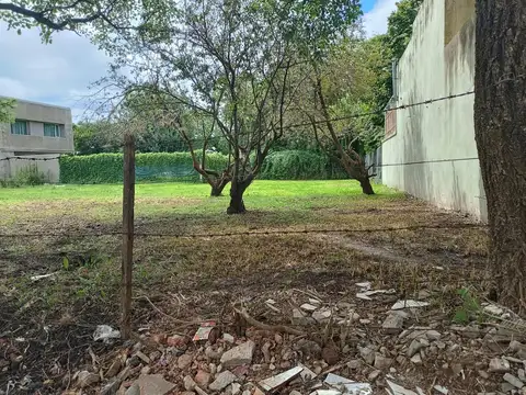 Importante Lote 447  m². 12 metros de frente.