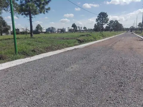 133 y  484 - J. Gorina