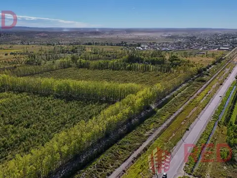 Terreno en Venta 10  mts Fondo