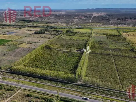 Terreno en Venta de 295,0 m2