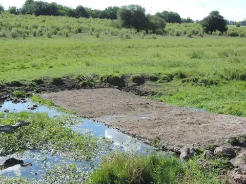 Oportunidad, chacra 18 ha / casa y aguada