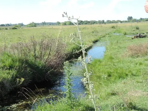 calle 243 esquina ayacucho paysandu