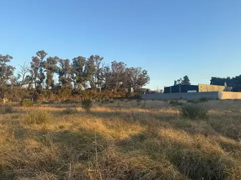 Terreno en Venta en Manzanares, USD 55.000