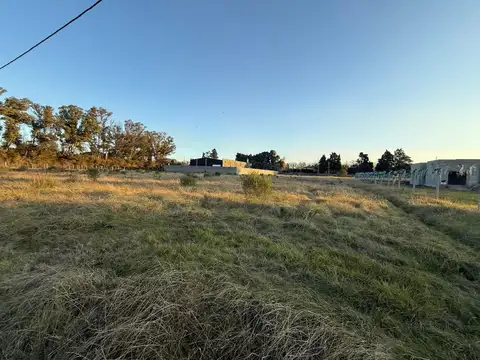 Terreno en Venta de 1784,0 m2
