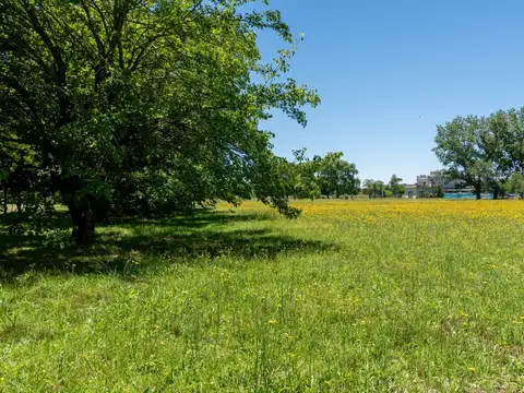 Terreno en Venta 70  mts Fondo