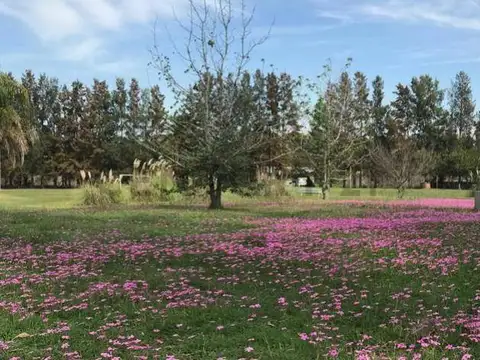 Terreno en Venta en La Plata, USD 115.000