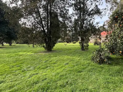 VENTA - CAMPO - 58 HECTAREAS - SAN PEDRO - (BUENOS AIRES)