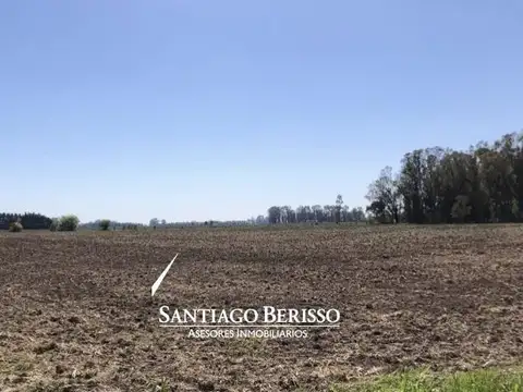 107 ha. Exaltación de la Cruz