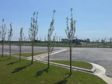 Terreno en Venta de 957,0 m2