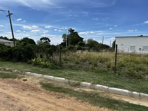 Queirolo